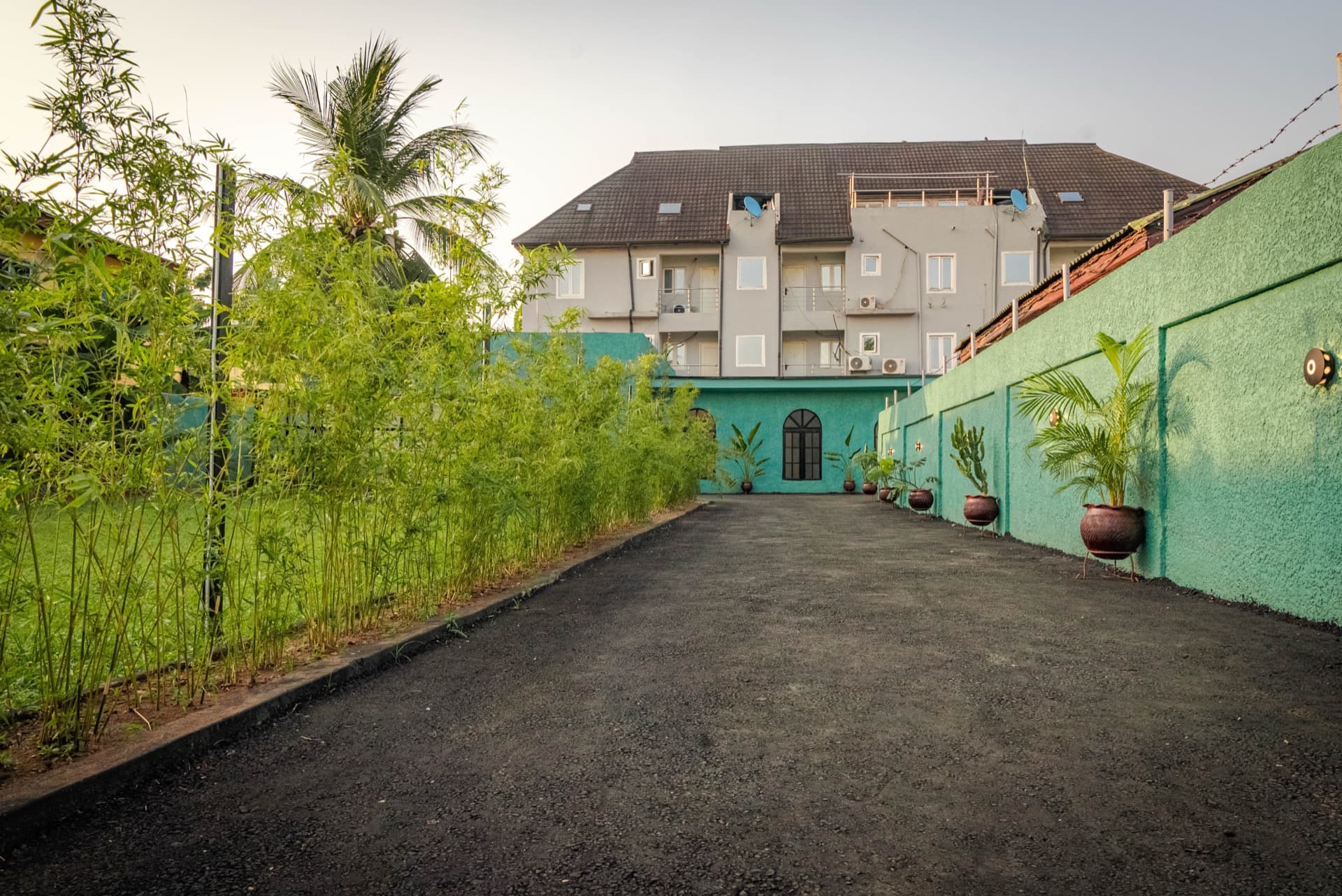 The Garden - Image 4