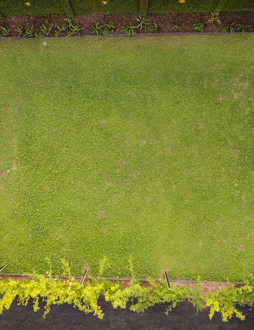 The Garden - Image 5